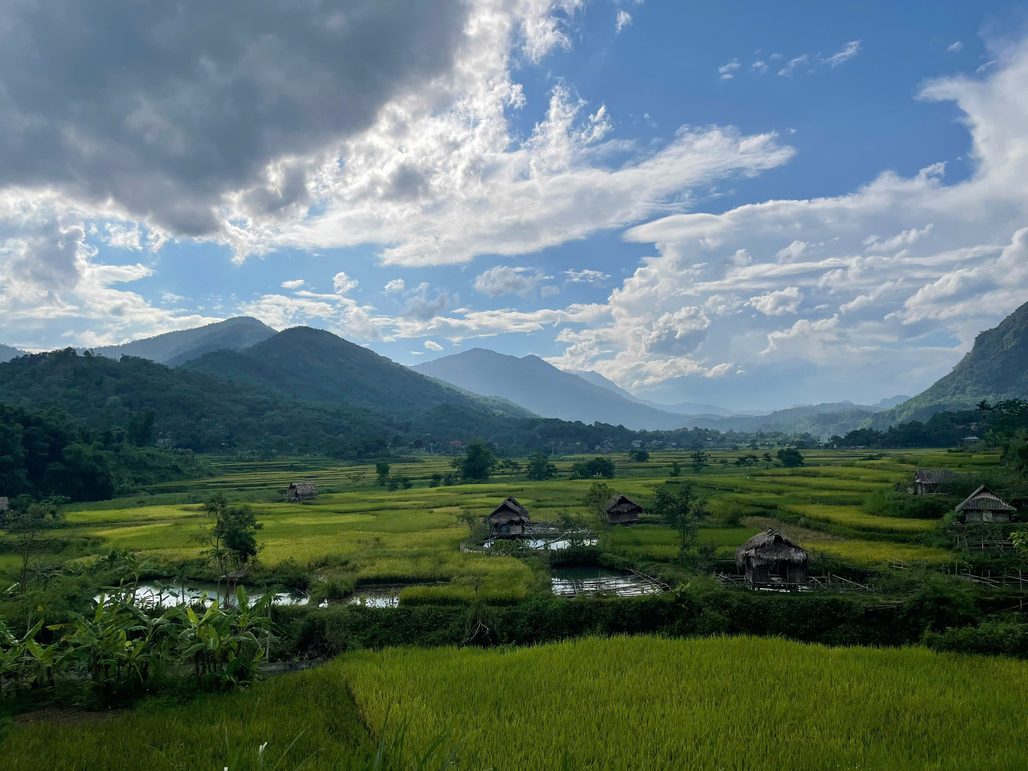 Vietnam landscape